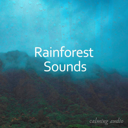 Rainforest Sounds, Pt. 04
