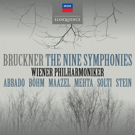Bruckner: Symphony No. 8 in C Minor, WAB 108 - 1. Allegro moderato
