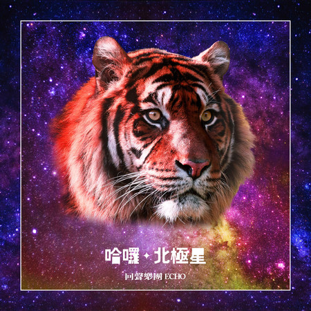 哈囉北極星