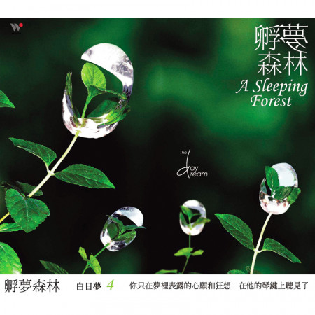走入寧靜