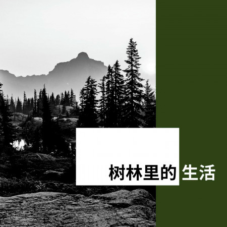 專輯封面