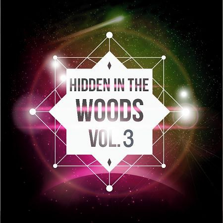 Hidden In The Woods Vol.3