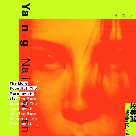 越美麗越看不見(The More Beautiful, The More Invisible)