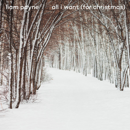 All I Want (For Christmas) 專輯封面