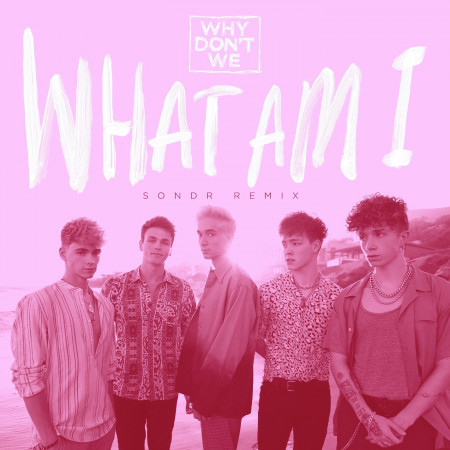 What Am I (SONDR Remix) 專輯封面