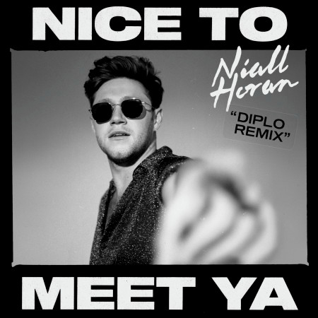 Nice To Meet Ya (Diplo Remix) 專輯封面