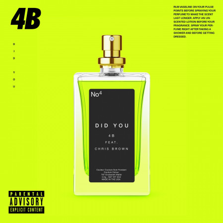 Did You (feat. Chris Brown) 專輯封面