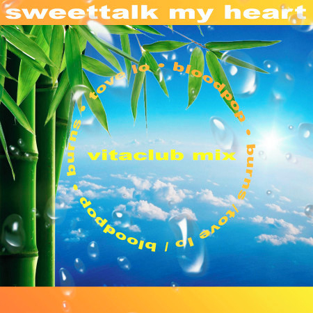 Sweettalk my Heart (BloodPop® & BURNS Vitaclub Remix)