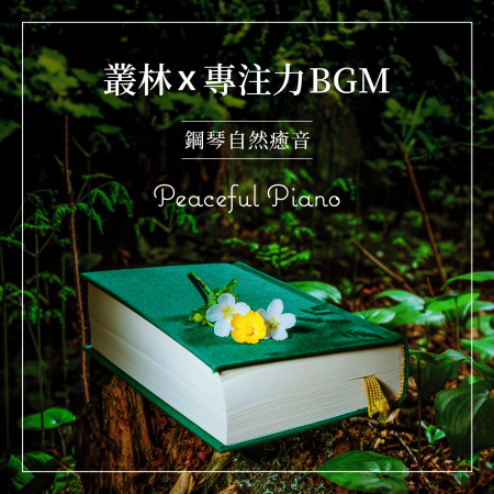 叢林x專注力BGM / 鋼琴自然癒音 (Peaceful Piano)