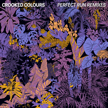 Perfect Run (Naations Remix)