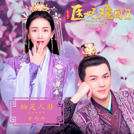物是人非 (網劇《醫妃難囚2》插曲)