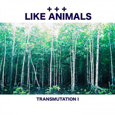 Transmutation I (Instrumental) 專輯封面