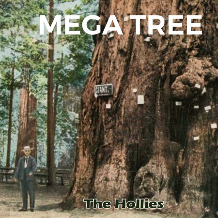 Mega Tree