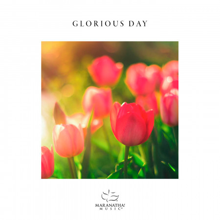 Glorioius Day