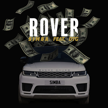 Rover (feat. DTG) 專輯封面