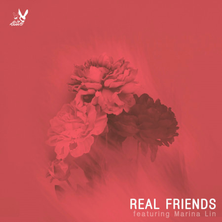 Real Friends (Guitar Acoustic)