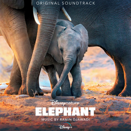 Elephant (Original Soundtrack) 專輯封面