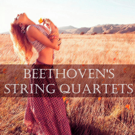 String Quartet No. 5 in A Major, Op. 18 No. 5: I. Allegro