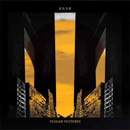 庸俗禿鷹 Vulgar Vultures