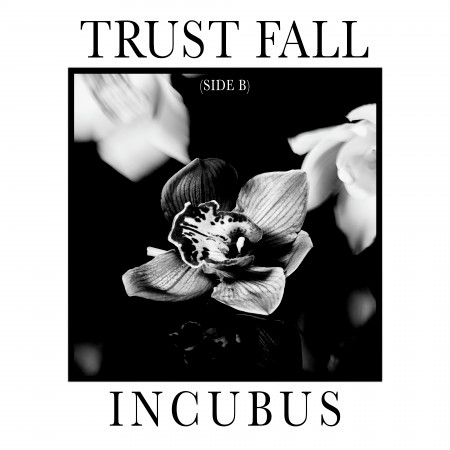 Trust Fall (Side B) 專輯封面