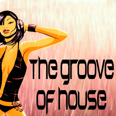 The Groove of House