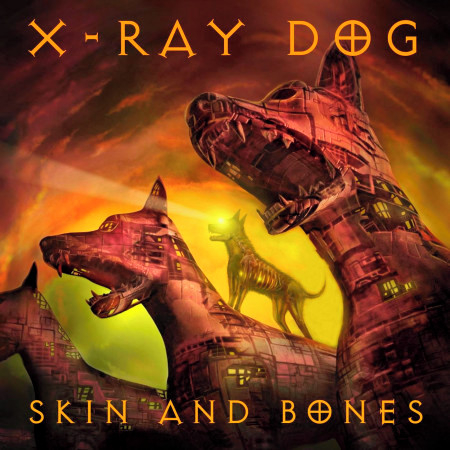 Skin And Bones專輯 - X-Ray Dog undefined - LINE MUSIC