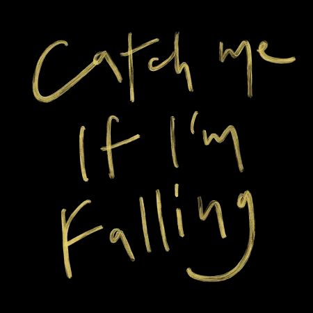 Catch Me If I'm Falling