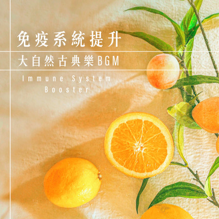 免疫系統提升.大自然古典樂BGM (Immune System Booster)