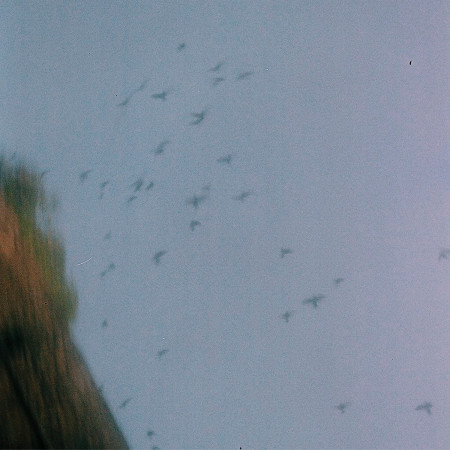 Sign -Acoustic Ver.-