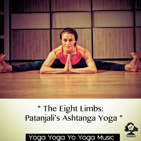Hatha Yoga Standing Yoga Poses (20 min) Part2
