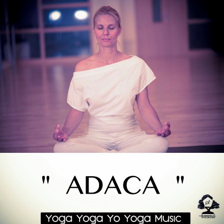 Hatha Yoga: Standing Yoga Poses (20 min)1