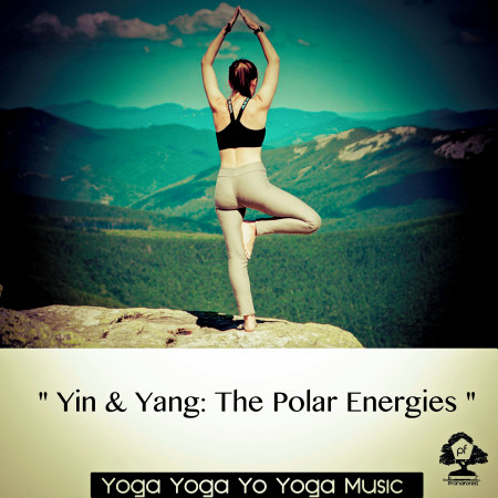 " Yin & Yang - The Polar Energies "
