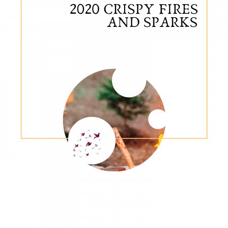 Fire and Ashes