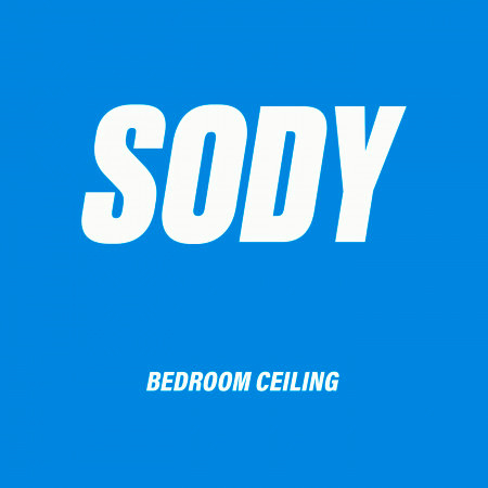 Bedroom Ceiling (Ouse Remix)