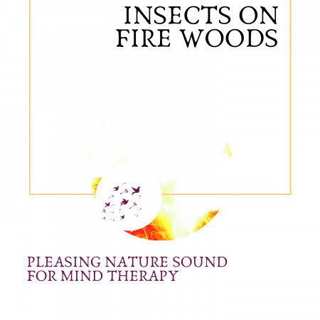Calmness with Fire Sound