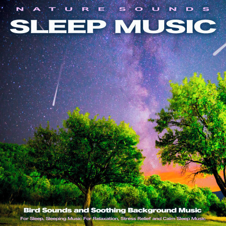 Nature Sounds Sleep Music: Bird Sounds and Soothing Background Music for Sleep, Sleeping Music For Relaxation, Stress Relief and Calm Sleep Music