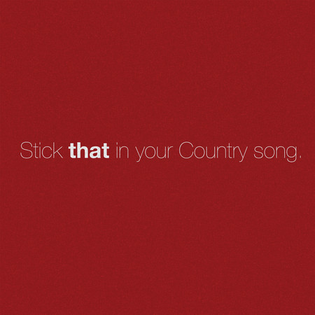 Stick That In Your Country Song 專輯封面