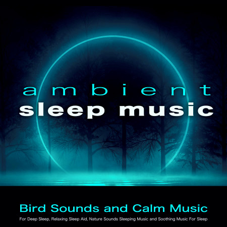 Ambient Sleep Music: Bird Sounds and Calm Music For Deep Sleep, Relaxing Sleep Aid, Nature Sounds Sleeping Music and Soothing Music For Sleep