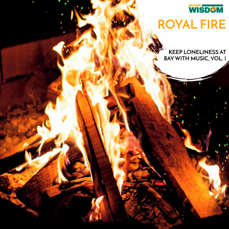 Royal Fire - Keep Loneliness at Bay with Music, Vol. 1