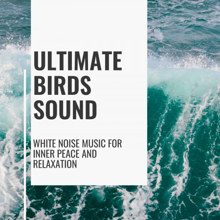 Ultimate Birds Sound - White Noise Music for Inner Peace and Relaxation