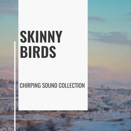 Skinny Birds - Chirping Sound Collection