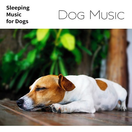 寵物音樂：狗狗舒眠減壓篇 (Dog Music：Sleeping Music for Dogs)