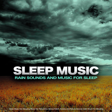 Sleep Music: Rain Sounds and Music For Sleep, Deep Sleep Aid, Sleeping Music For Relaxation, Stress Relief, Anxiety and Nature Sounds Calm Music For Sleeping