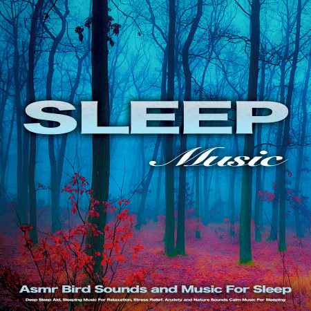 Sleep Music: Asmr Bird Sounds and Music For Sleep, Deep Sleep Aid, Sleeping Music For Relaxation, Stress Relief, Anxiety and Nature Sounds Calm Music For Sleeping