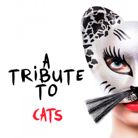 A Tribute to Cats