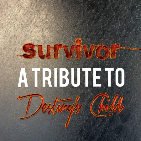 Survivor: A Tribute to Destiny's Child