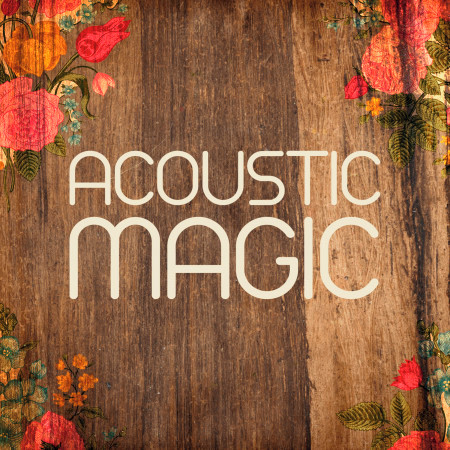 Acoustic Magic