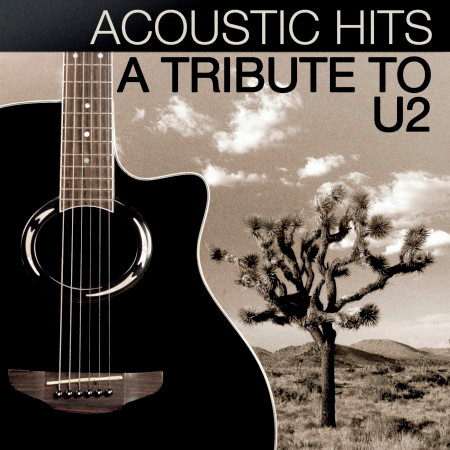 Acoustic Hits: A Tribute to U2