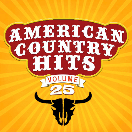 Today's Top Country Hits, Vol. 25