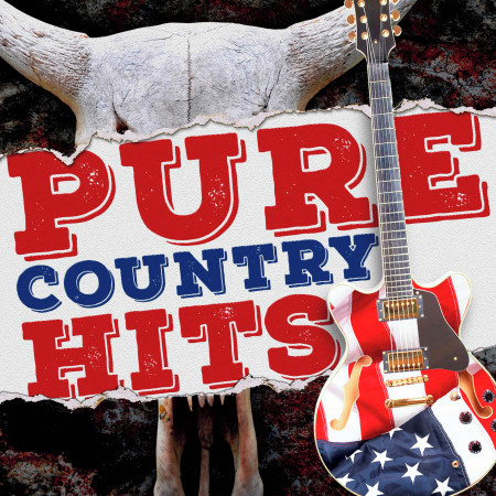 Pure Country Hits 專輯封面